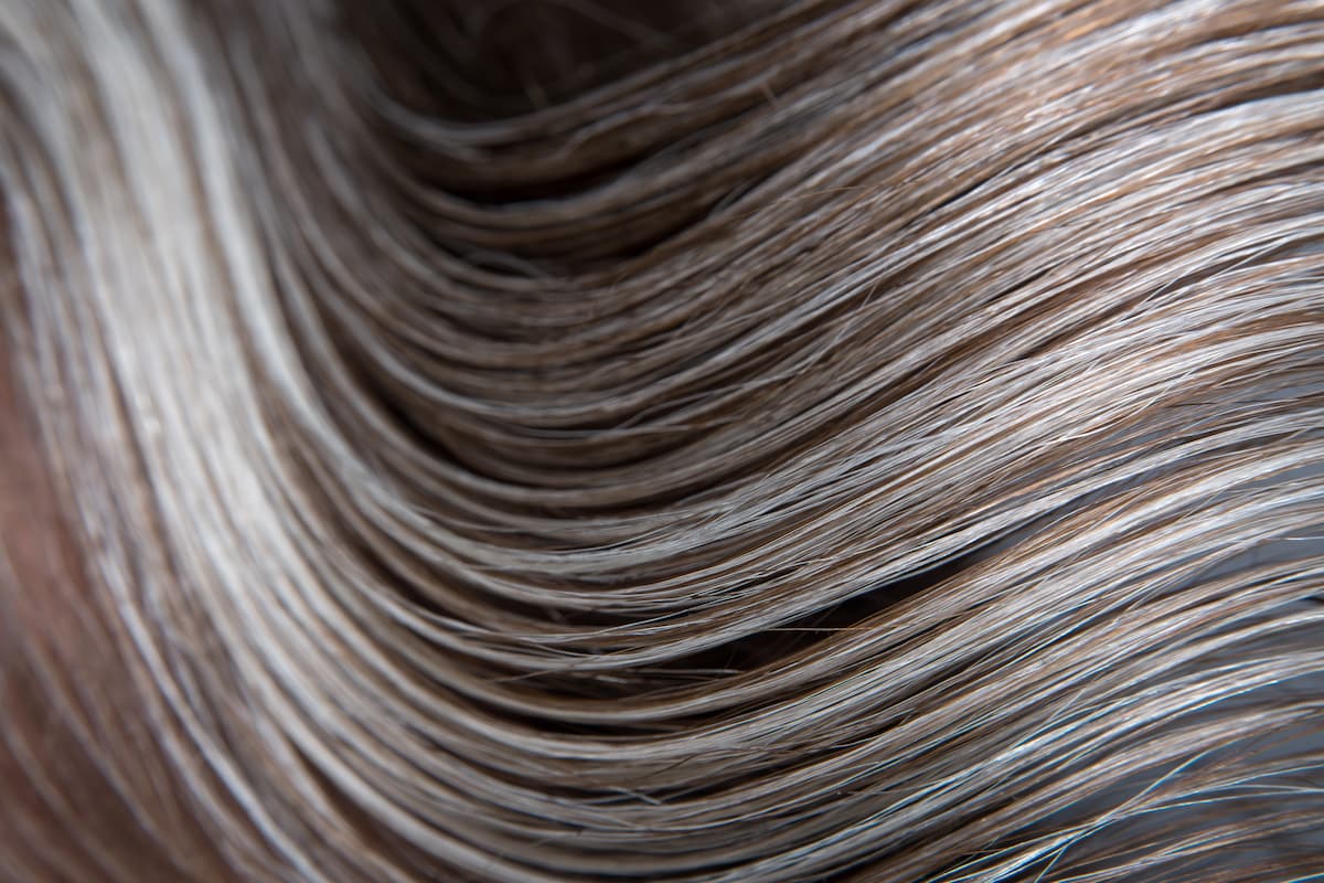A close-up view of shiny, wavy hair showing a seamless blend of natural silver strands mixed with light brown and blonde tones